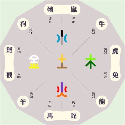 辰的五行|辰字五行中属什么